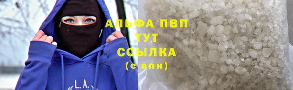 PSILOCYBIN Богданович