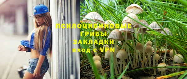 сатива Семилуки
