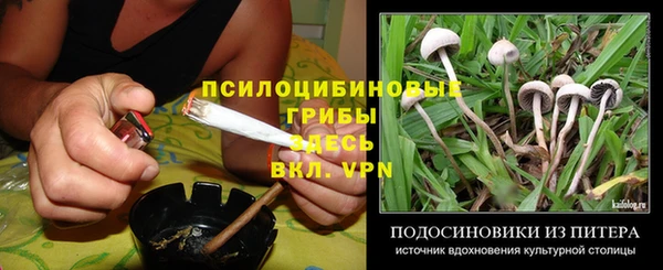 альфа пвп Семикаракорск