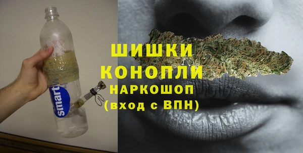 PSILOCYBIN Богданович